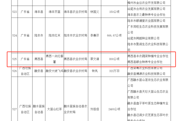 揭西一点红番薯入选公示名单