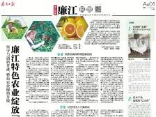 廉江特色农业绽放“七朵金花”丨速览《南方日报·廉江视窗》171期