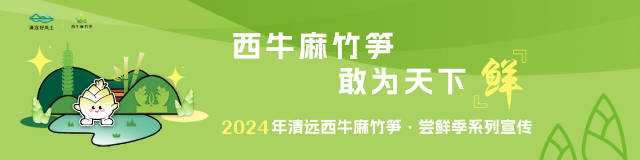 图集｜从田头到餐桌，西牛麻竹笋，华丽变“鲜”生