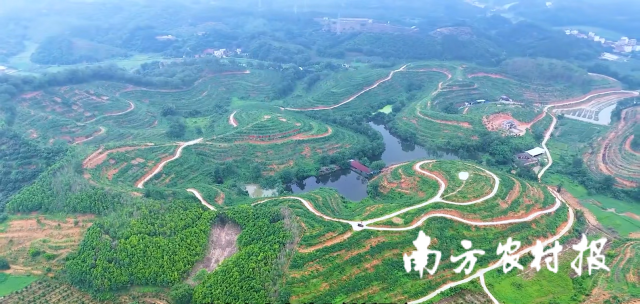 时代农场航拍图。