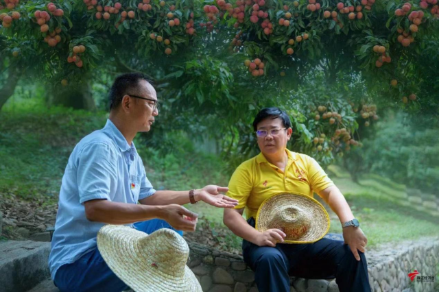 陈浩潮接受广东电视台主持人郑达采访