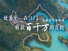 处暑至，在江门收获“百千万”的喜悦