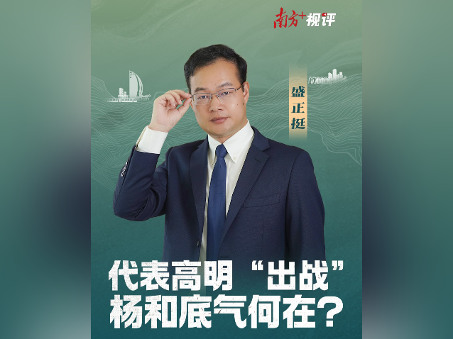 南方+视评｜代表高明“出战”，杨和底气何在？