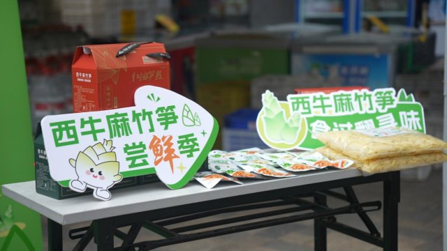 深圳市西牛麻竹笋尝鲜品鉴点。