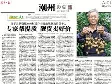 专家帮提质 靓货卖好价｜速览《南方日报·潮州观察》第186期