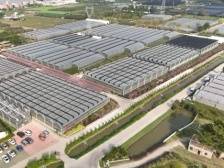 南沙榄核：党建聚力强基础，蓄势赋能促提升