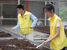 南方日报 | 大江镇打好“人才牌”为发展注入智慧活力