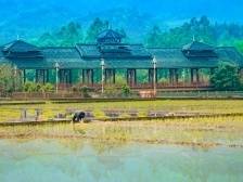 火热八月，肇庆拼发展、惠民生、促文旅