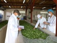 新兴县太平镇：点燃人才驿站“助推器” 释放乡村振兴“新动能”