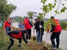 新兴县车岗镇：“一队四制”强发力，人居环境换新颜