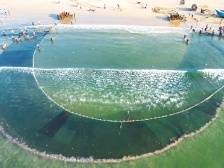 “1+4+8+N”产业园建设提速｜速览《南方日报·电白视窗》185期