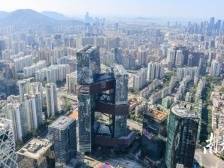 面对“出海潮”，南山企业如何“出得去”“行得远”“有底气”？