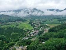 续写“三棵松”故事，博罗县石岗村蹚出典型村向新之路