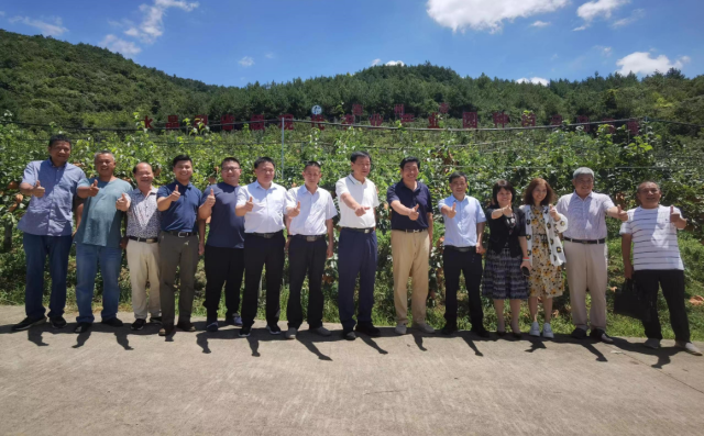 叶国军（右一）等人来到连州市水晶梨省级现代农业产业园标准化示范种植基地开展实地研讨。
