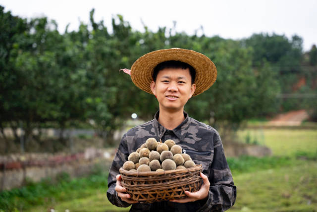 廖志略在推广化橘红。