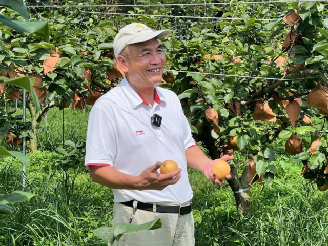 连州市农业农村科技推广服务中心副主任、高级农艺师叶国军。