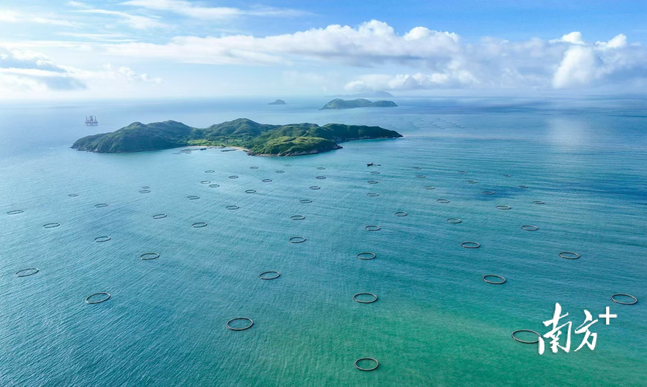 阳东区大镬岛附近海域建立深海网箱养殖基地，是目前中国南海离岸最远的深海网箱基地，也是目前全省唯一一个真正意义上的离岸型养殖基地。