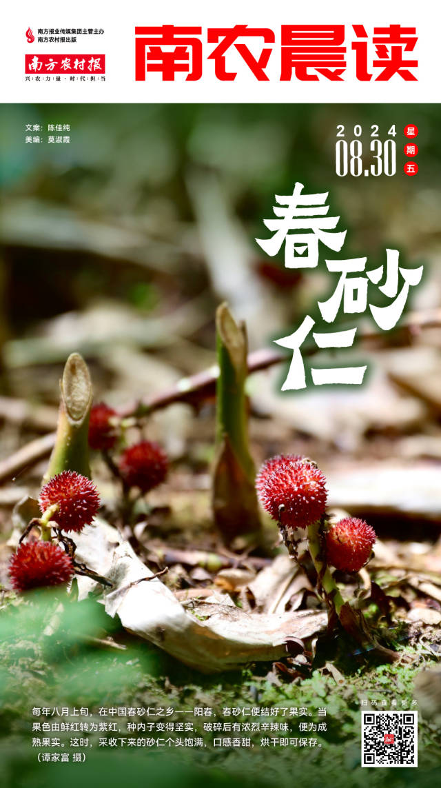 南方农村报 樊静东 制图