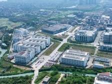 一线实践｜小金口五大专项行动打造焕然一新现代化街区