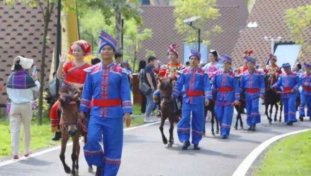 “马中熊猫”长什么样？广西德保矮马，马中的短腿萌物！
