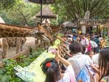 暑期文旅市场缘何“旺丁”难“旺财”？