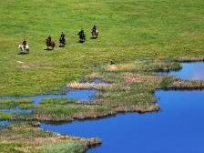 “顶流”阿勒泰的守护｜天涯比邻①