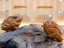 方寸之间，雕刻振兴 | 岭南特产看罗定核雕