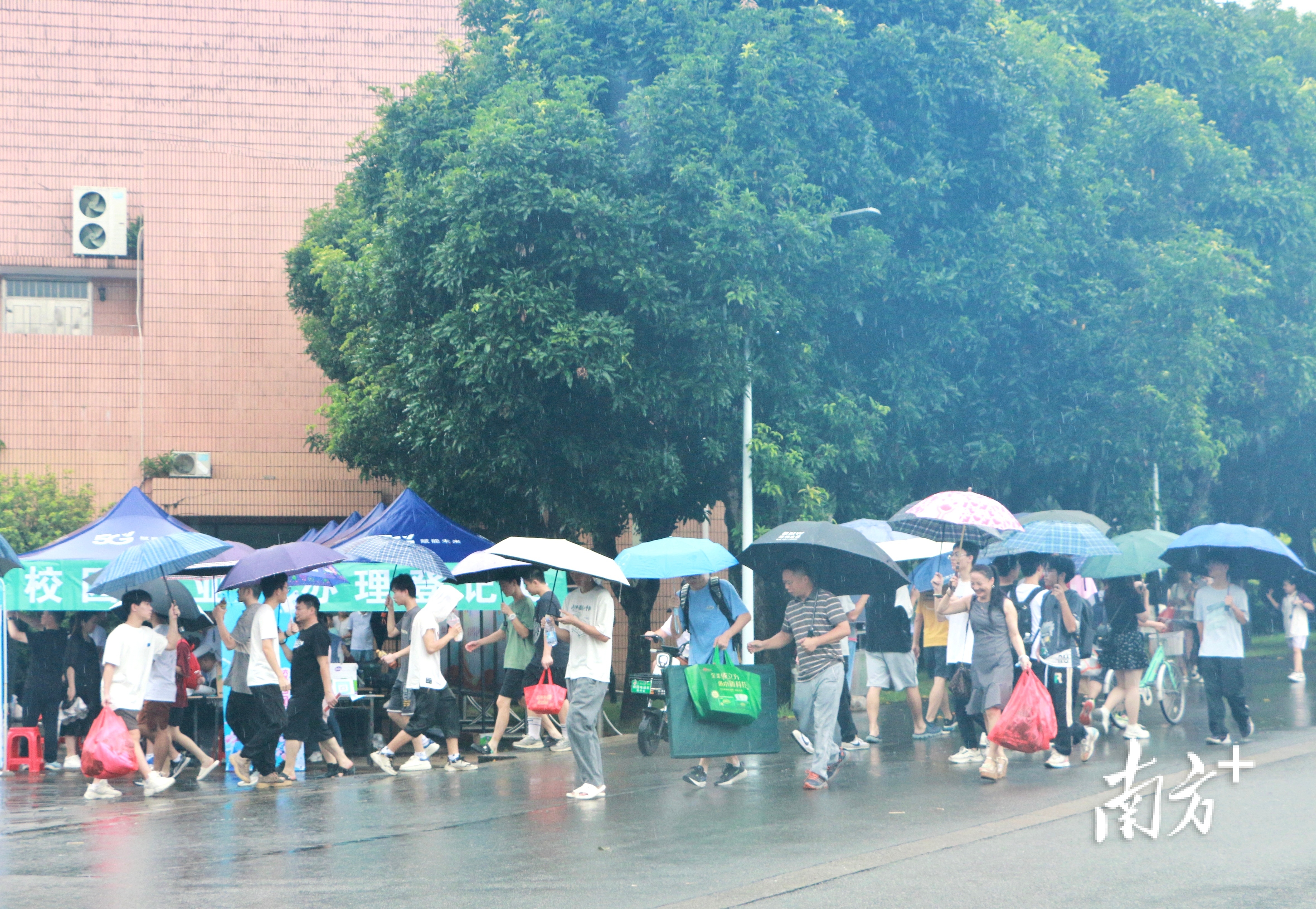 不少家长冒着濛濛细雨送孩子进校报到。&nbsp;&nbsp;