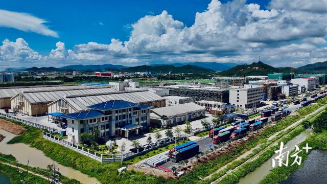 每年收获期，横江村的送粮车便一车接着一车，在台山国粮斗山分公司门口大排长龙。