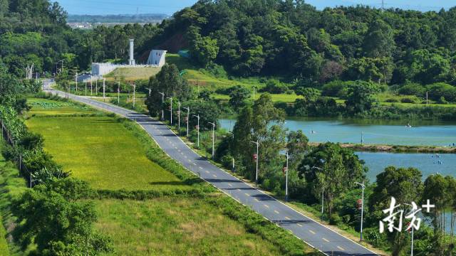 驶入横江村的公路绿意盎然，美不胜收，给旅途增添了几分诗意。