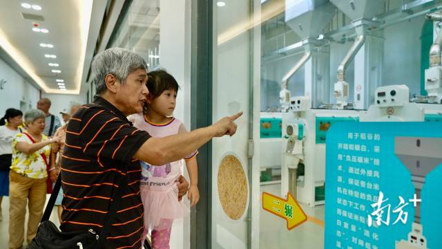 一群群游客走进稻米加工车间，迫不及待地想要了解稻米从田间到餐桌的整个旅程。