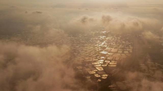 南海这一周｜技能人才，请站“C位”！