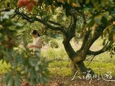 到广东，“跟着电影去旅游”