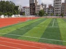 坡头校园“上新”！一起解锁新面貌→