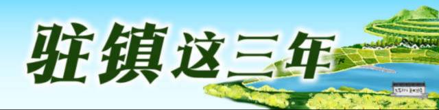 驻雷高镇帮扶工作队：着力生态振兴，多措并举“涵养”绿美雷高