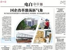 国企改革激荡新气象｜速览《南方日报·电白视窗》186期