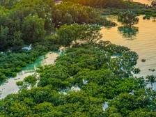 驻雷高镇帮扶工作队：着力生态振兴，多措并举“涵养”绿美雷高 | 驻镇这三年㉜