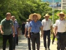 陈永禄督导“百千万工程”典型村建设工作