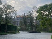 毛利率碾压大多房企，合生创展那些年囤的地“真香”｜冷眼看财报