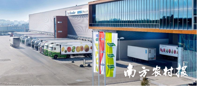 绿茵果蔬公司·荷兰