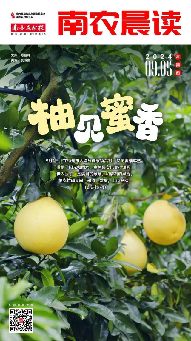 南方农村报 李嘉镓 制图