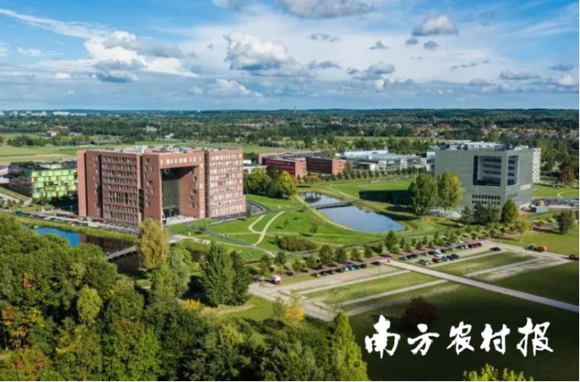 瓦赫宁根大学·荷兰