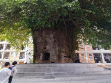 百年学脉也是科研重镇！一个你不知道的环五山