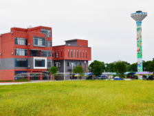 新风拂山野 绽放文明花  | 速览《南方日报·遂溪视窗》122期