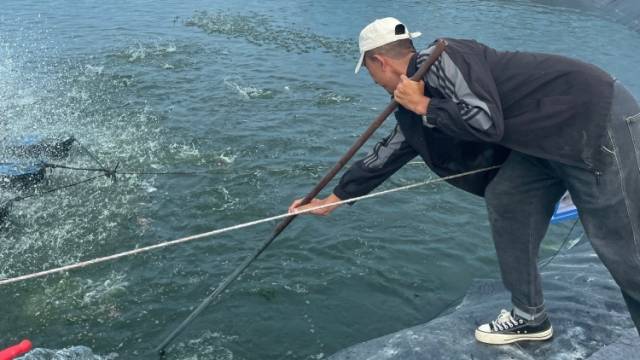 高原上也能养海鲜？西藏百姓的餐桌更丰富了