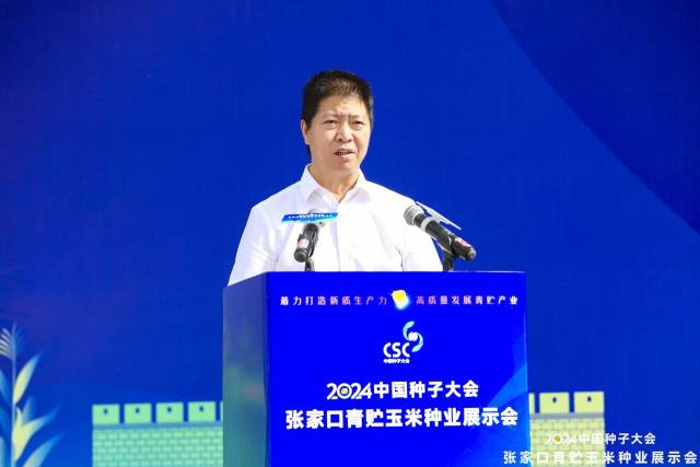 张家口市副市长白晶 