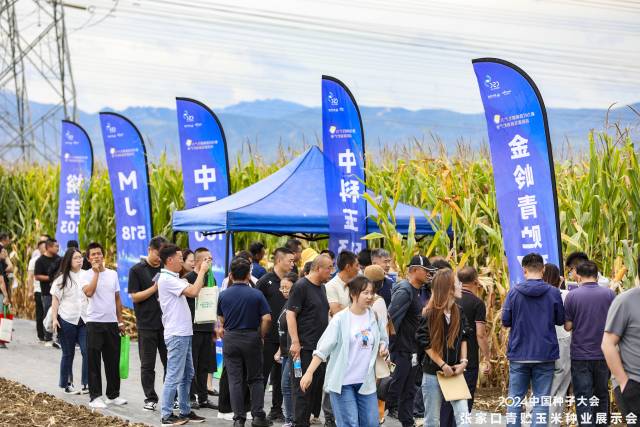 南方农村报 赵飘飘 拍摄