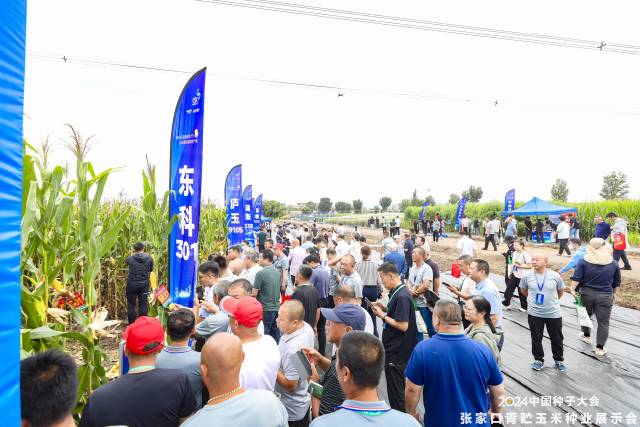 南方农村报 赵飘飘 拍摄