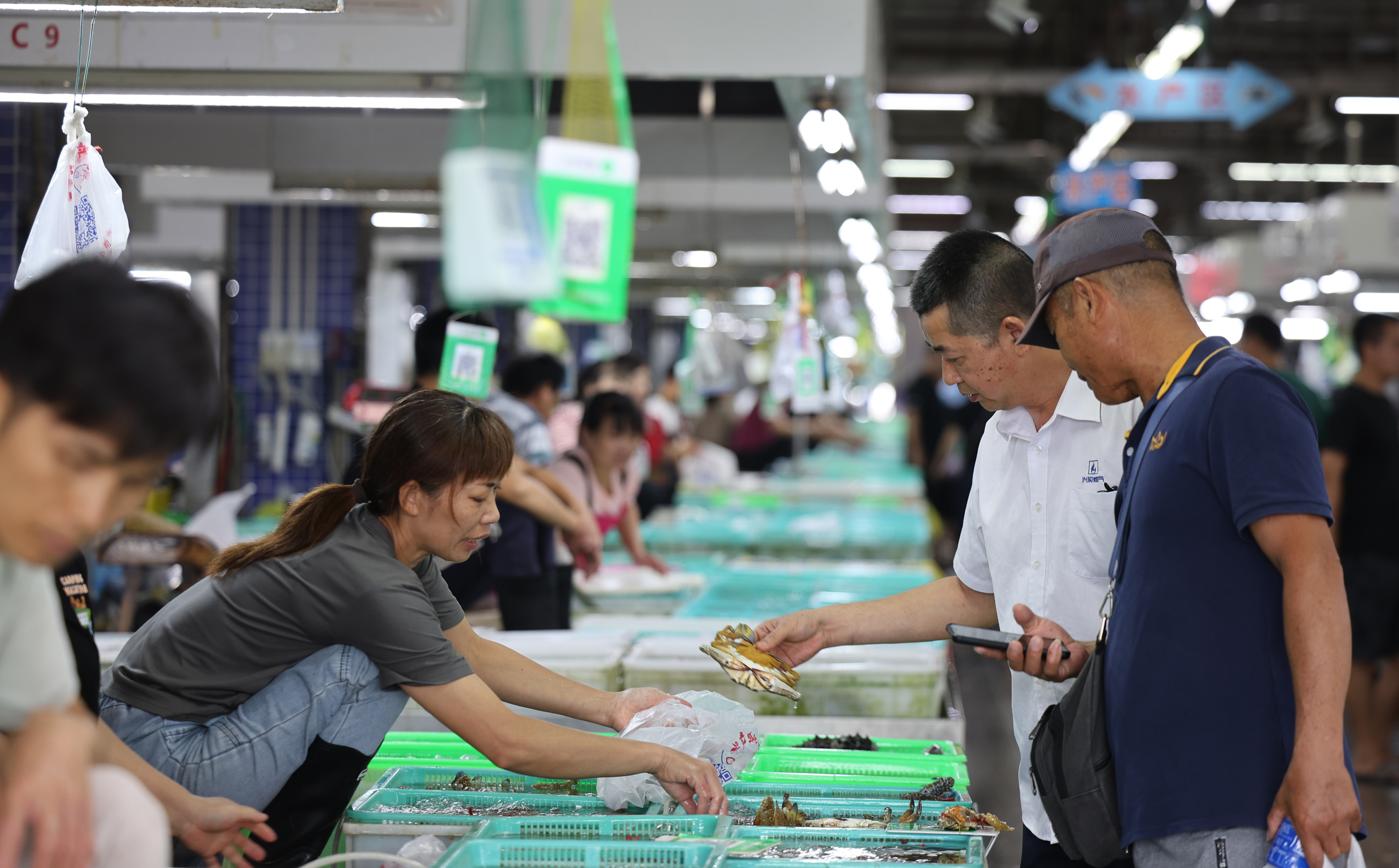 白藤头海鲜市场。  南方+ 关铭荣 拍摄