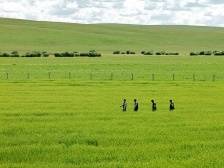 阿尔山的“流动界碑”｜天涯比邻②